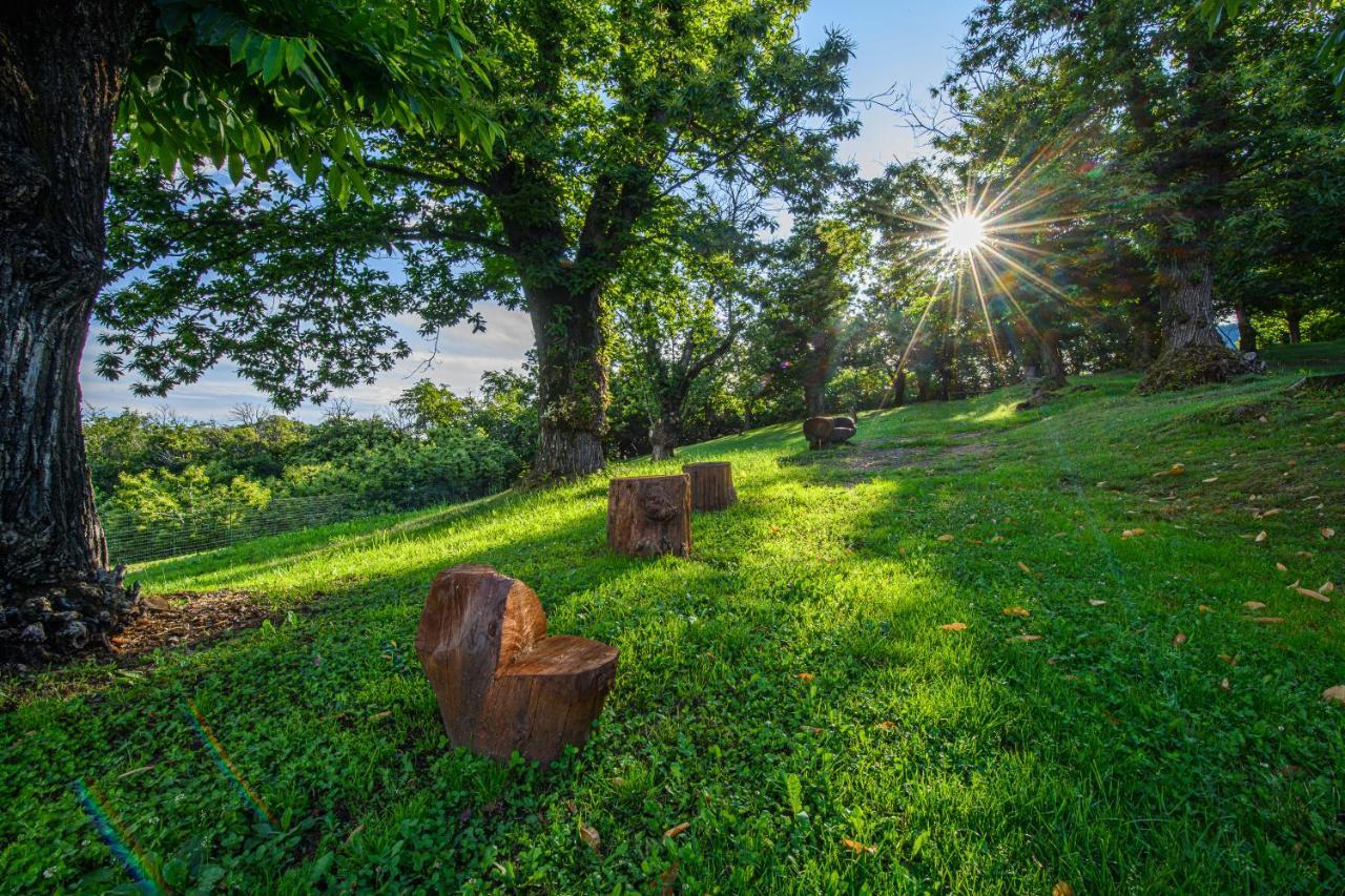 Agriturismo L'Ciabot Paesana Экстерьер фото