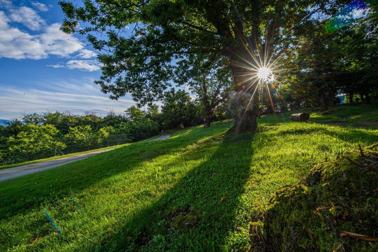 Agriturismo L'Ciabot Paesana Экстерьер фото